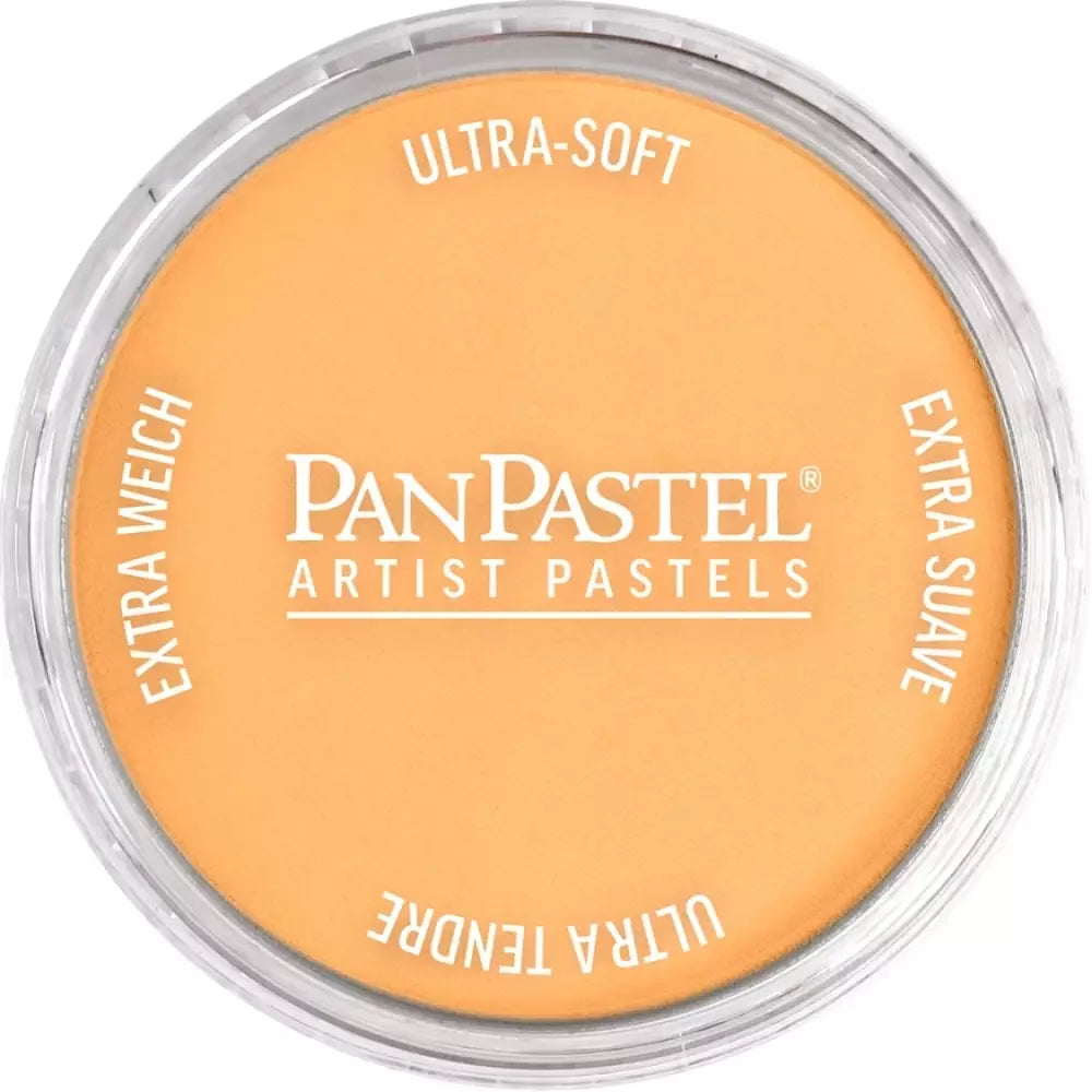 PanPastel Artist's Pastel Boya 952.5 Pearlescent Orange