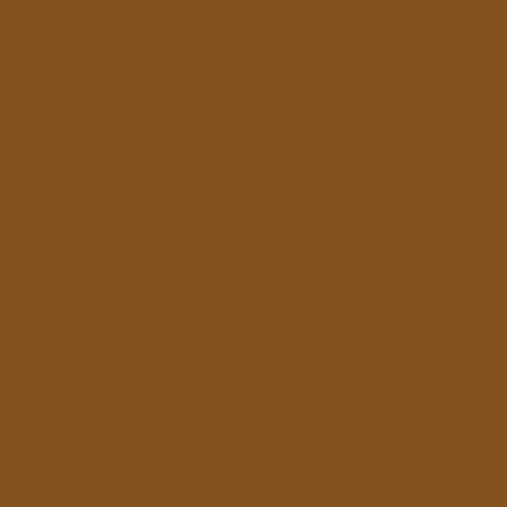 Realbrush Pigment Marker Cinnamon