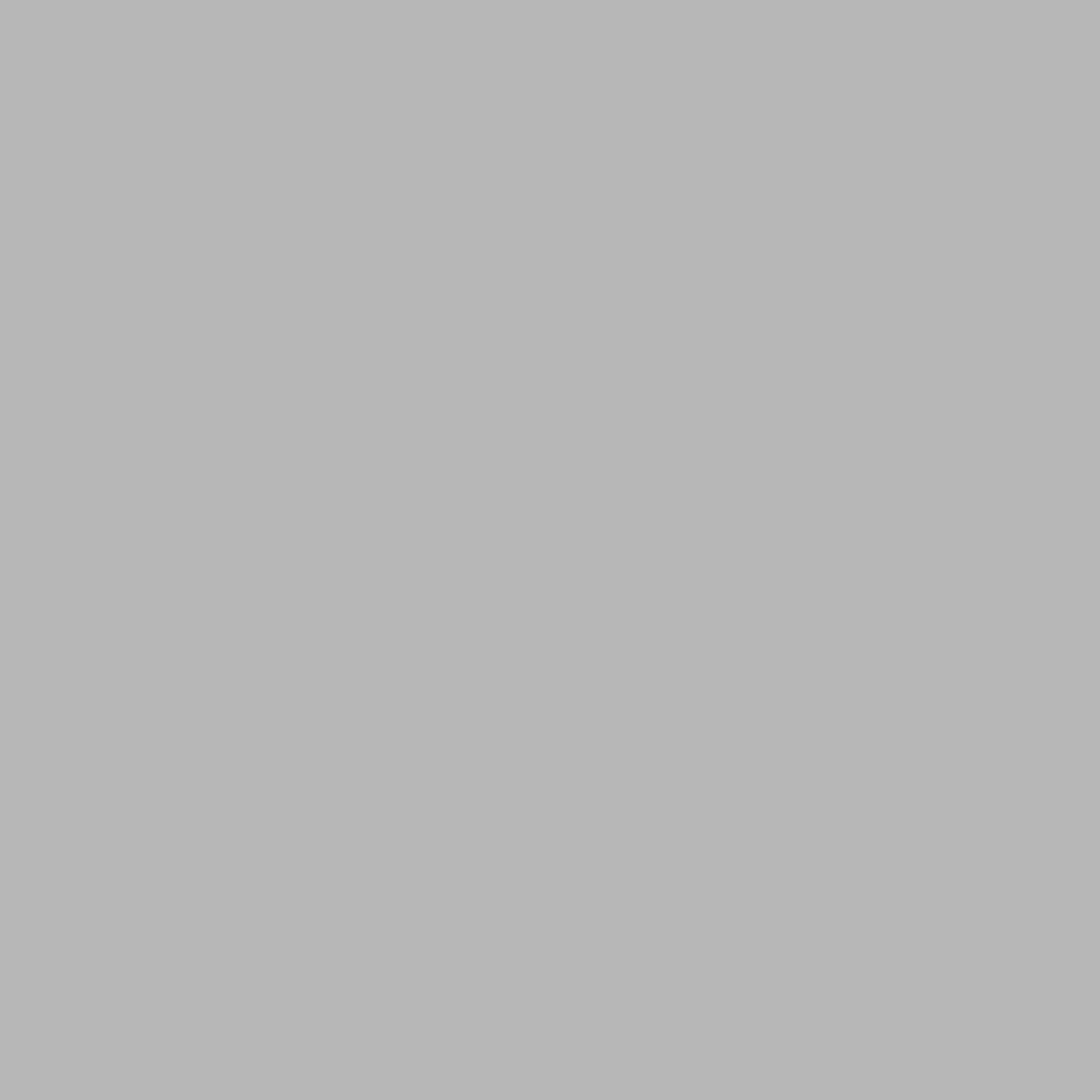 Realbrush Pigment Marker Cool Grey 1