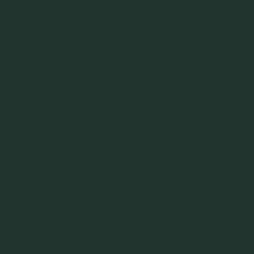 Realbrush Pigment Marker Olive Black