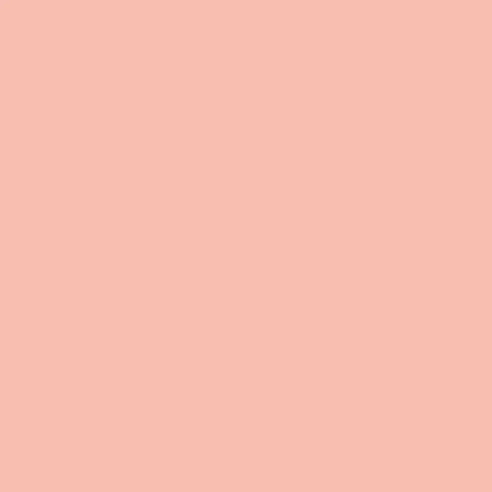 Realbrush Pigment Marker Pastel Orange