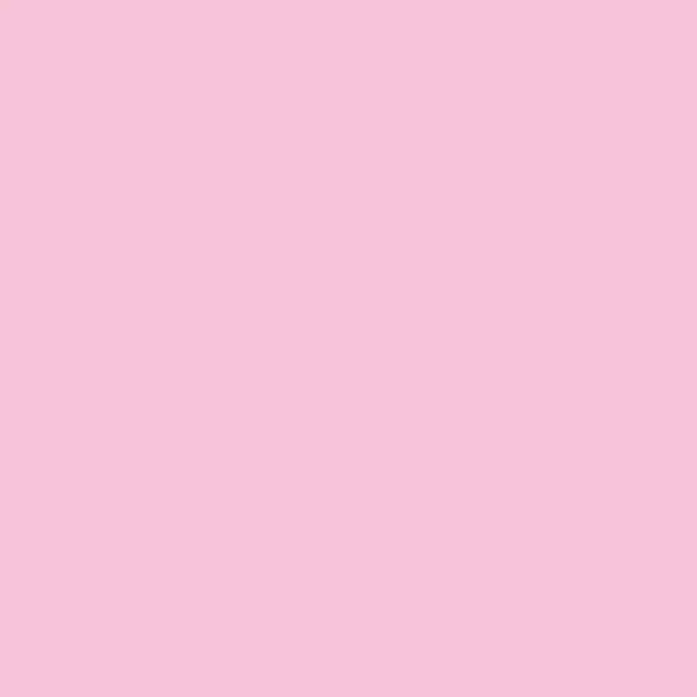 Realbrush Pigment Marker Pastel Pink