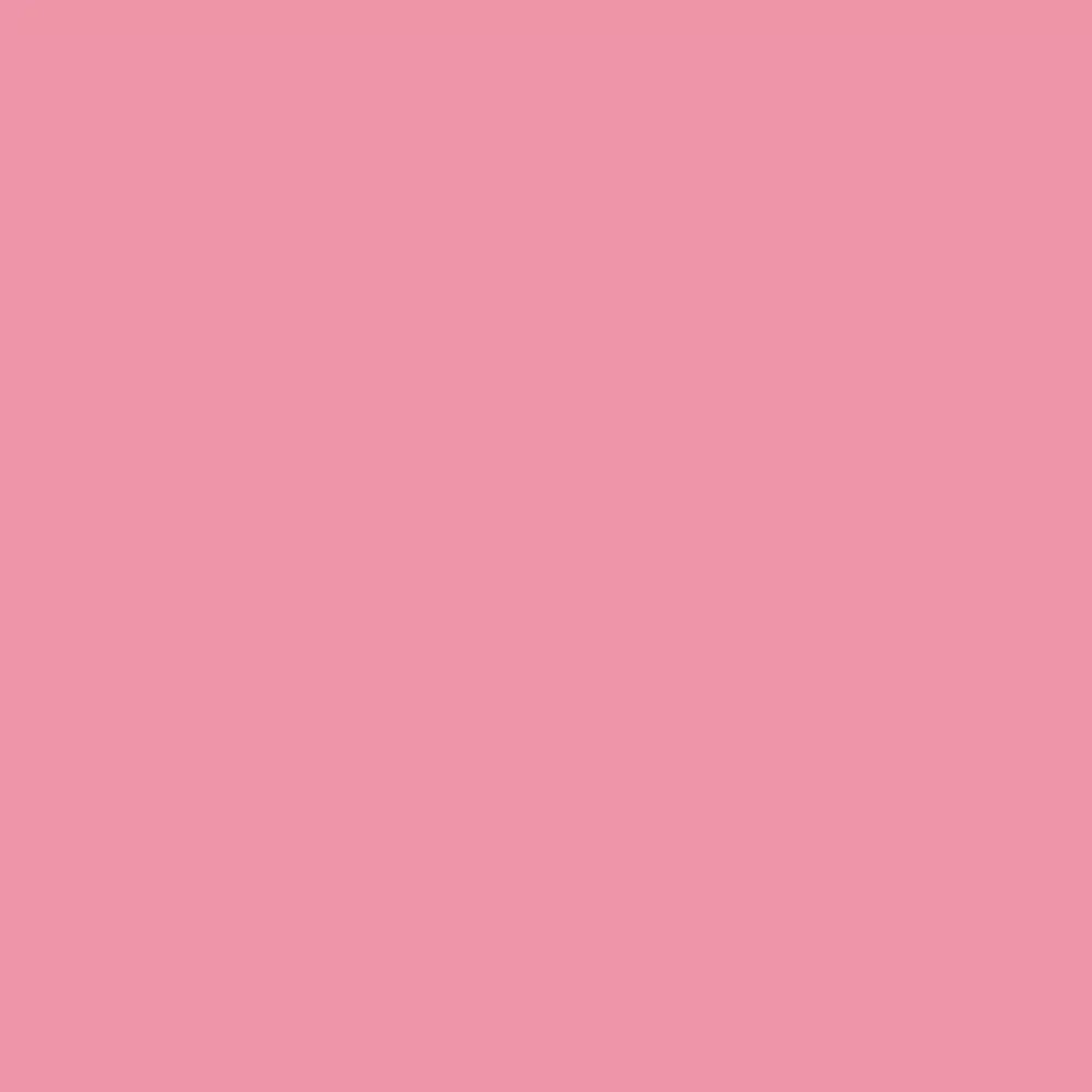 Realbrush Pigment Marker Pastel Red