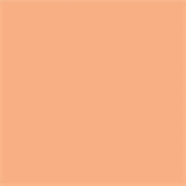 Realbrush Pigment Marker Peach