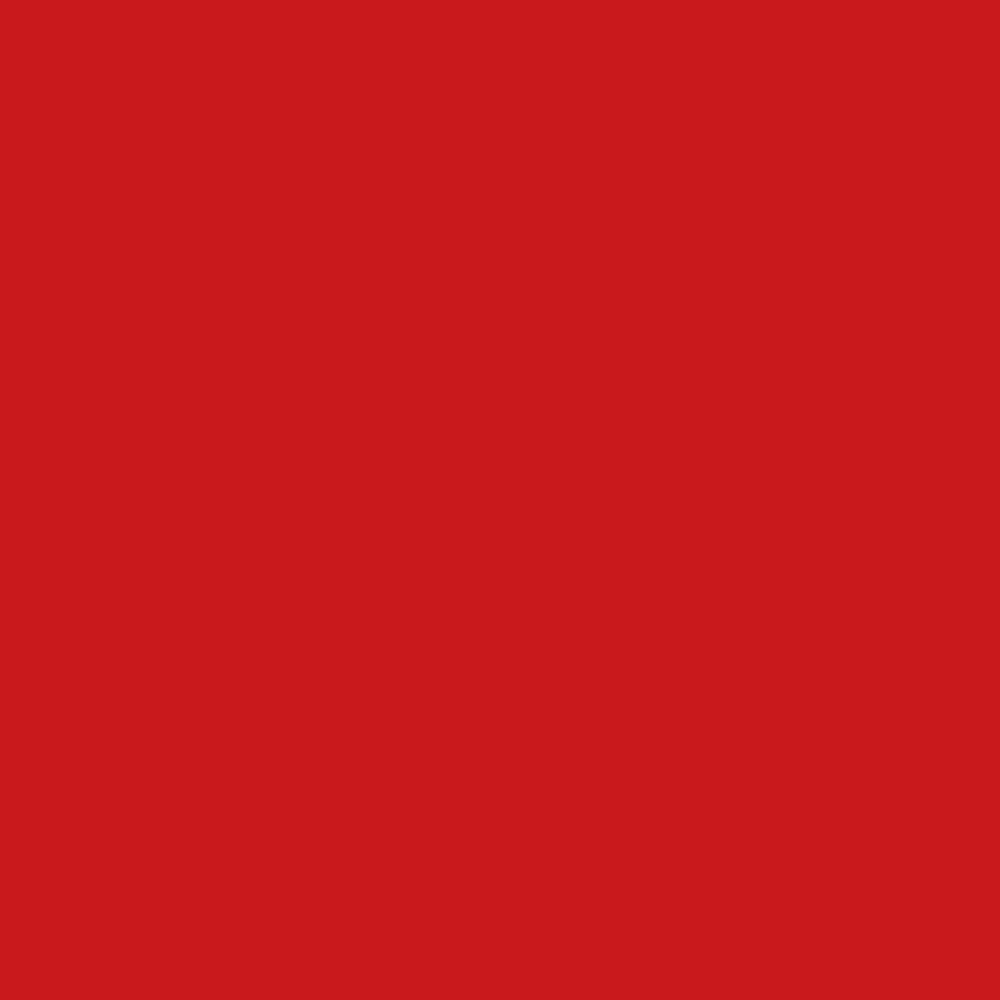 Realbrush Pigment Marker Red