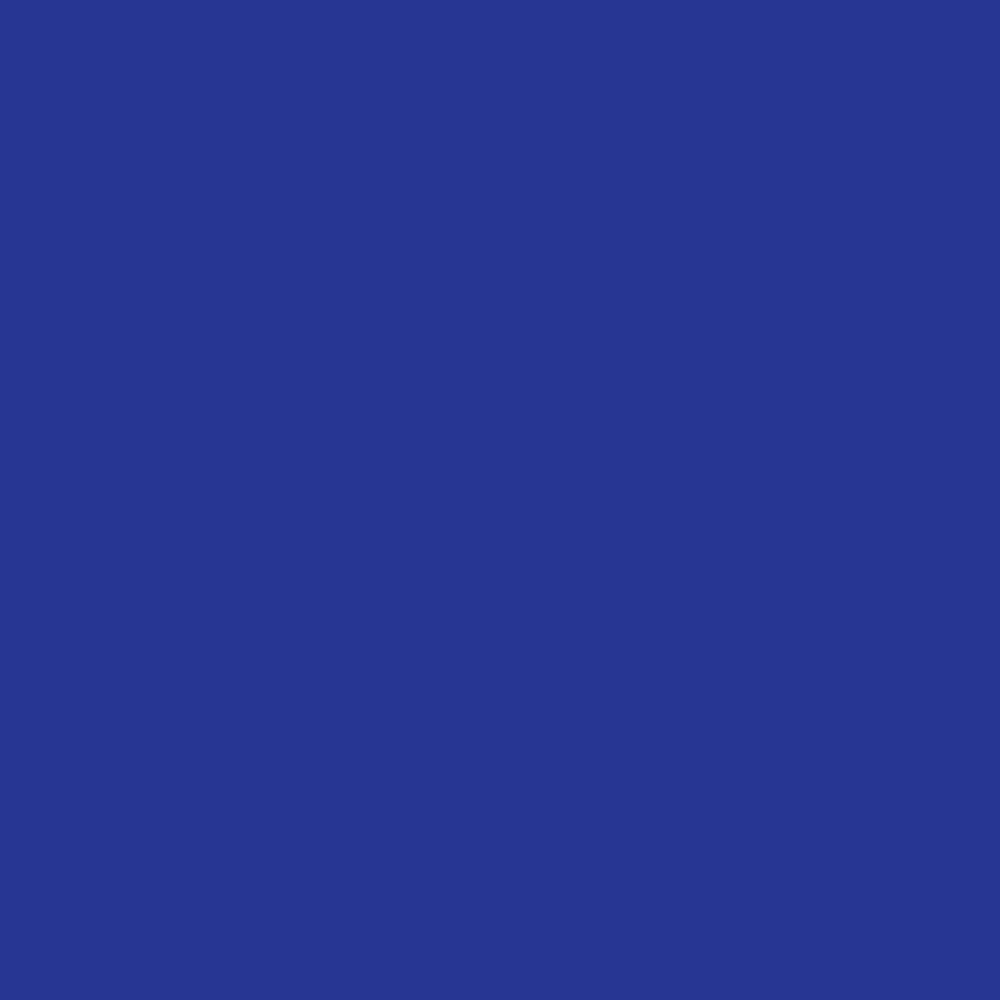 Realbrush Pigment Marker Royal Blue