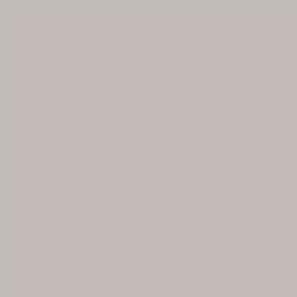 Realbrush Pigment Marker Warm Grey 1