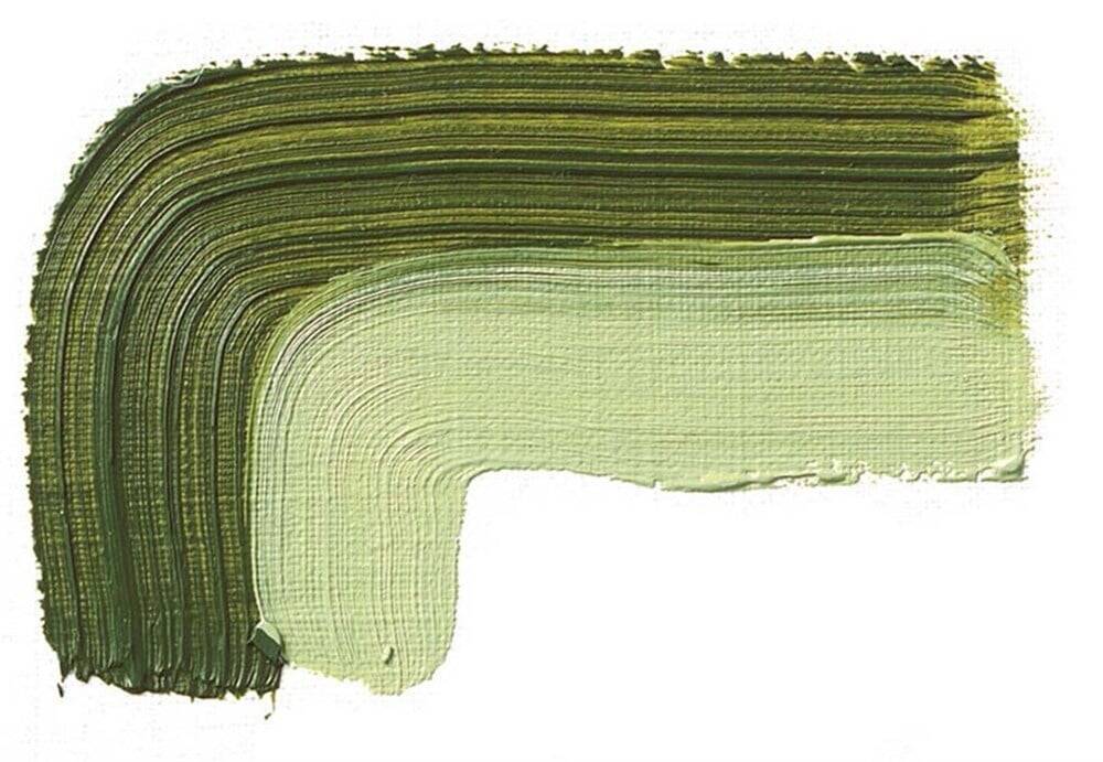 Schmincke Akademie Öl Color Yağlı Boya 60 ml 504 Green Earth Seri 1