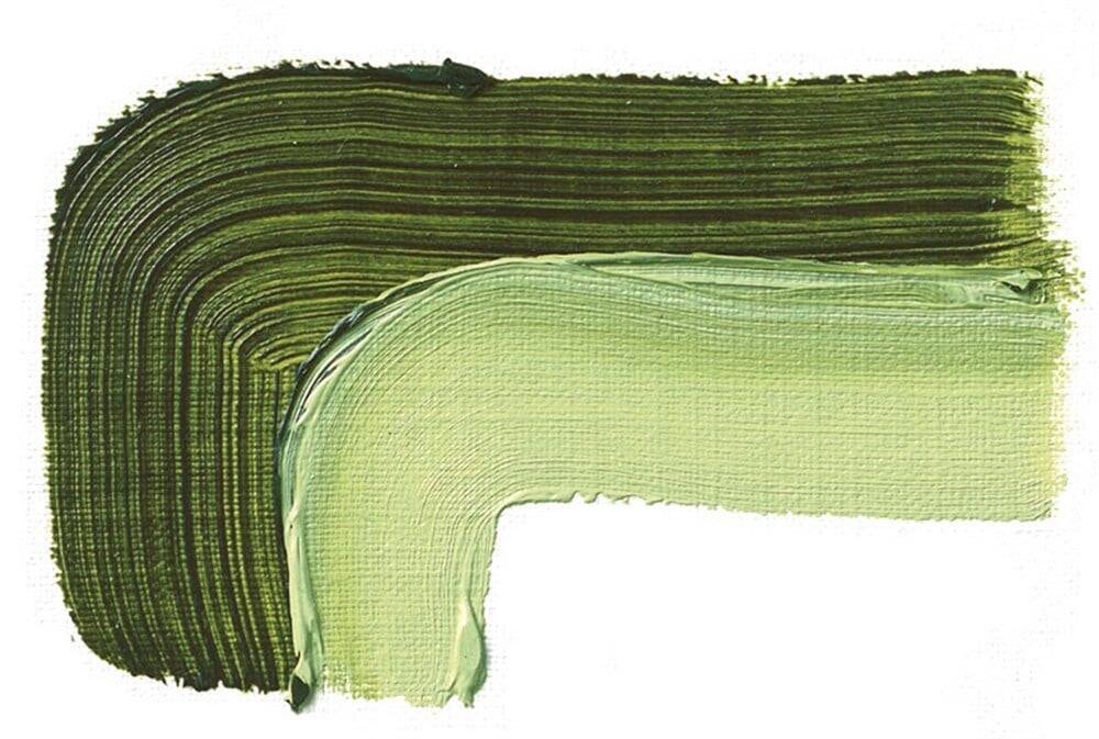 Schmincke Akademie Öl Color Yağlı Boya 60 ml 506 Sap Green Seri 1