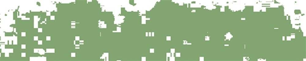 Schmincke Artist Soft Pastel Boya 072 D Leaf Green 1