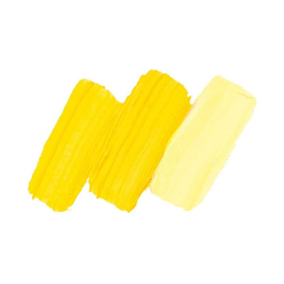 220 COLLEGE YELLOW