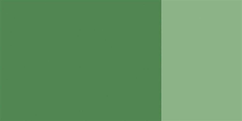 Schmincke Hks Designers' Gouache Paint 20 ml Tube 558 Chromium Oxide Green