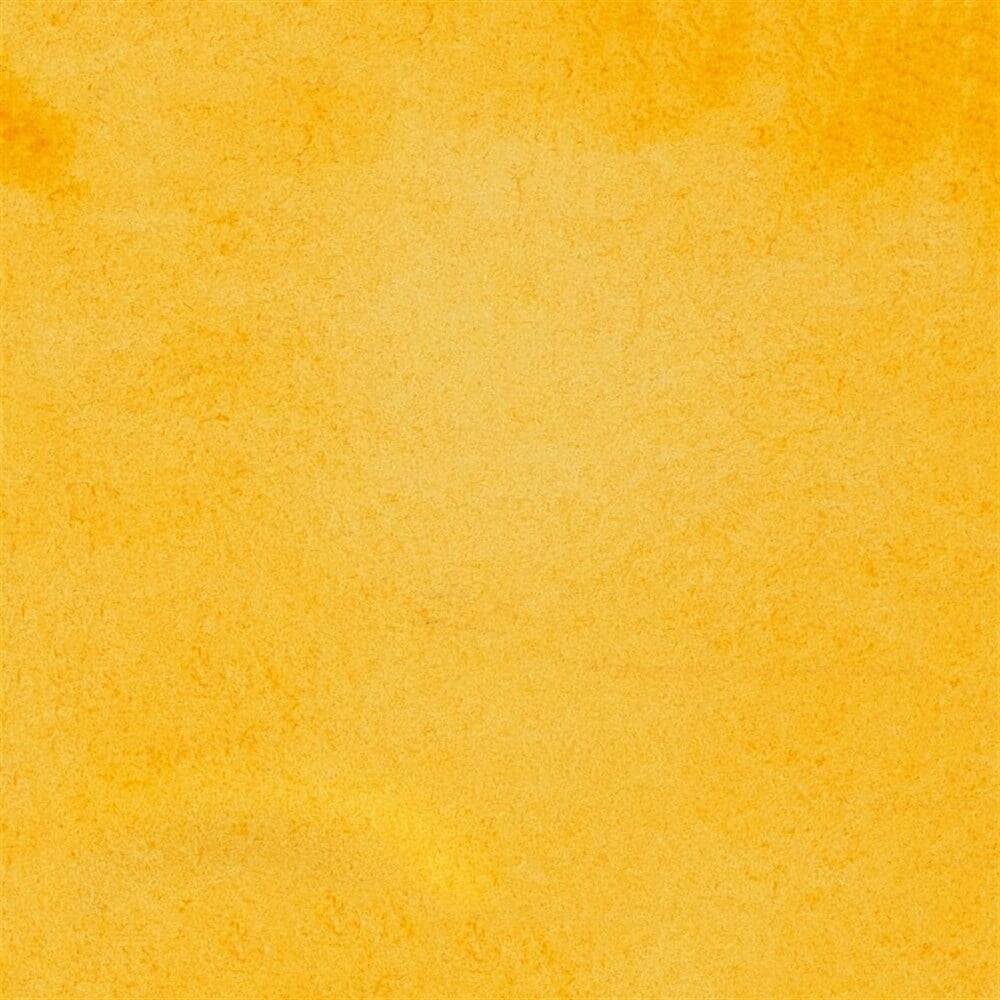 Schmincke Horadam Aquarell Artist Sulu Boya 15 ml 657 Transparent Ochre Seri 1