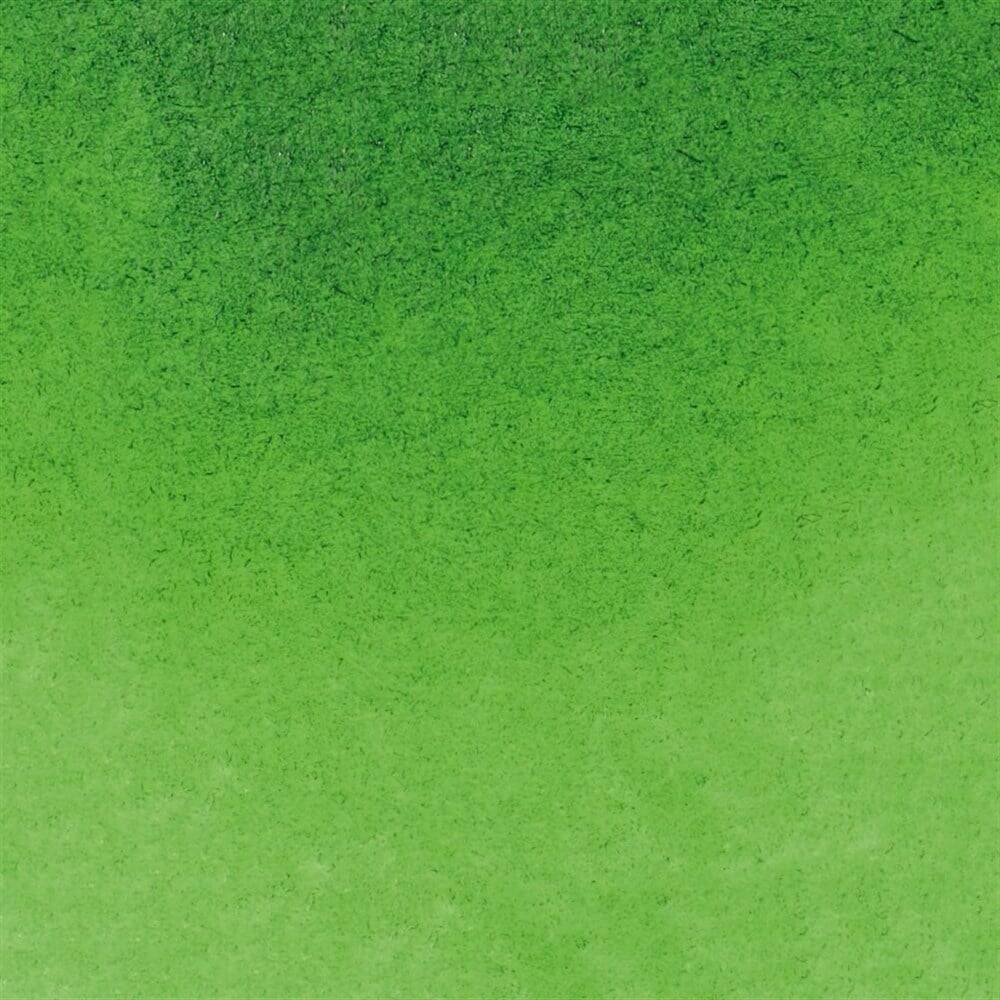 Schmincke Horadam Aquarell Artist Sulu Boya 15 ml 530 Sap Green Seri 2