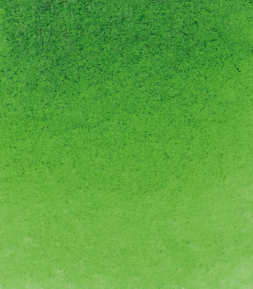 Schmincke Horadam Aquarell Artist Sulu Boya Tam Tablet 530 Sap Green Seri 2