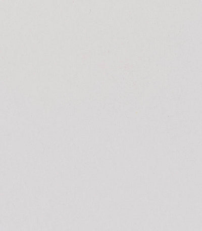 TITANIUM WHITE