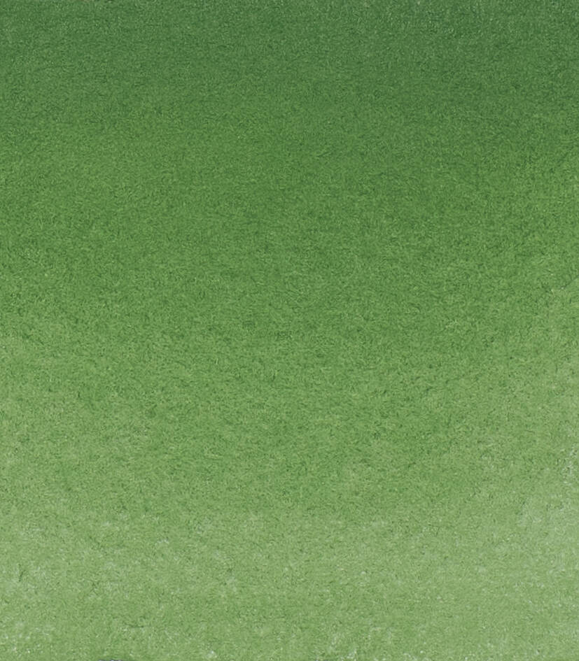 Schmincke Horadam Aquarell Sulu Boya 5 Ml 512 Chromium Oxide Green