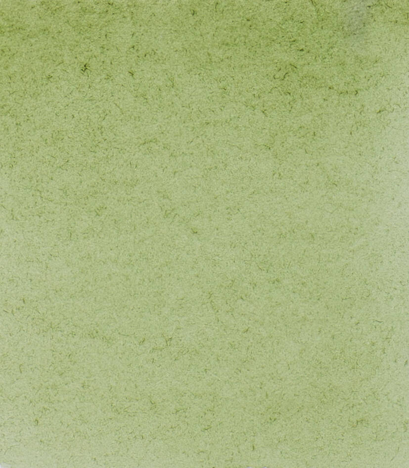 Schmincke Horadam Aquarell Sulu Boya 5 Ml 516 Green Earth