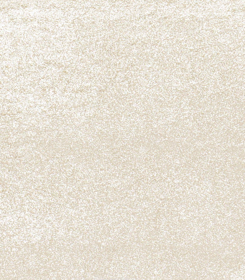 Schmincke Horadam Aquarell Sulu Boya 5 Ml 894 Silver