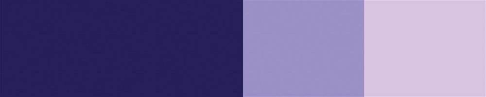 Schmincke Horadam Artist Guaj Boya 15 ml 460 Violet Seri 1