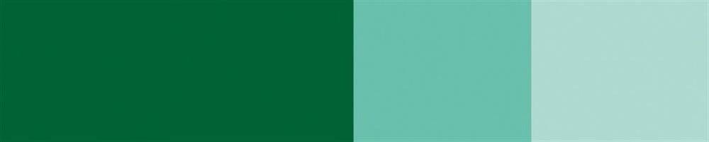 Schmincke Horadam Artist Gouache 15 ml Series 1 524 Helio Green Yellowish