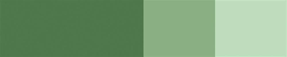 Schmincke Horadam Artist Guaj Boya 15 ml 530 Chromium Oxide Green Seri 1