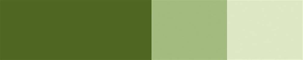 Schmincke Horadam Artist Guaj Boya 15 ml 532 Olive Green Seri 2
