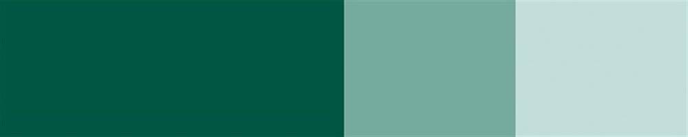 Schmincke Horadam Artist Gouache 15 ml Series 4 528 Cobalt Green Deep