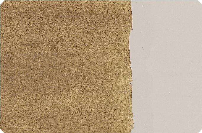 Schmincke Toz Pigment Raw Umber, Greenish 100 ml