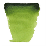 Talens Van Gogh Suluboya Tablet 623 Sap Green
