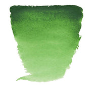 Talens Van Gogh Suluboya Tablet 644 Hooker Green Light