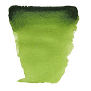 Talens Van Gogh Watercolour Tube 10ml - 623 Sap Green