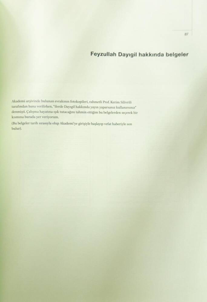 Türk Tezyinatını Canlandıran Adam - Feyzullah Dayıgil