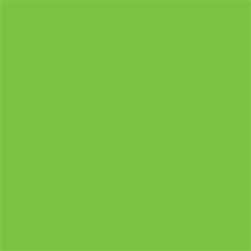 Winsor & Newton Promarker Grafik Kalemi 069 Bright Green G267