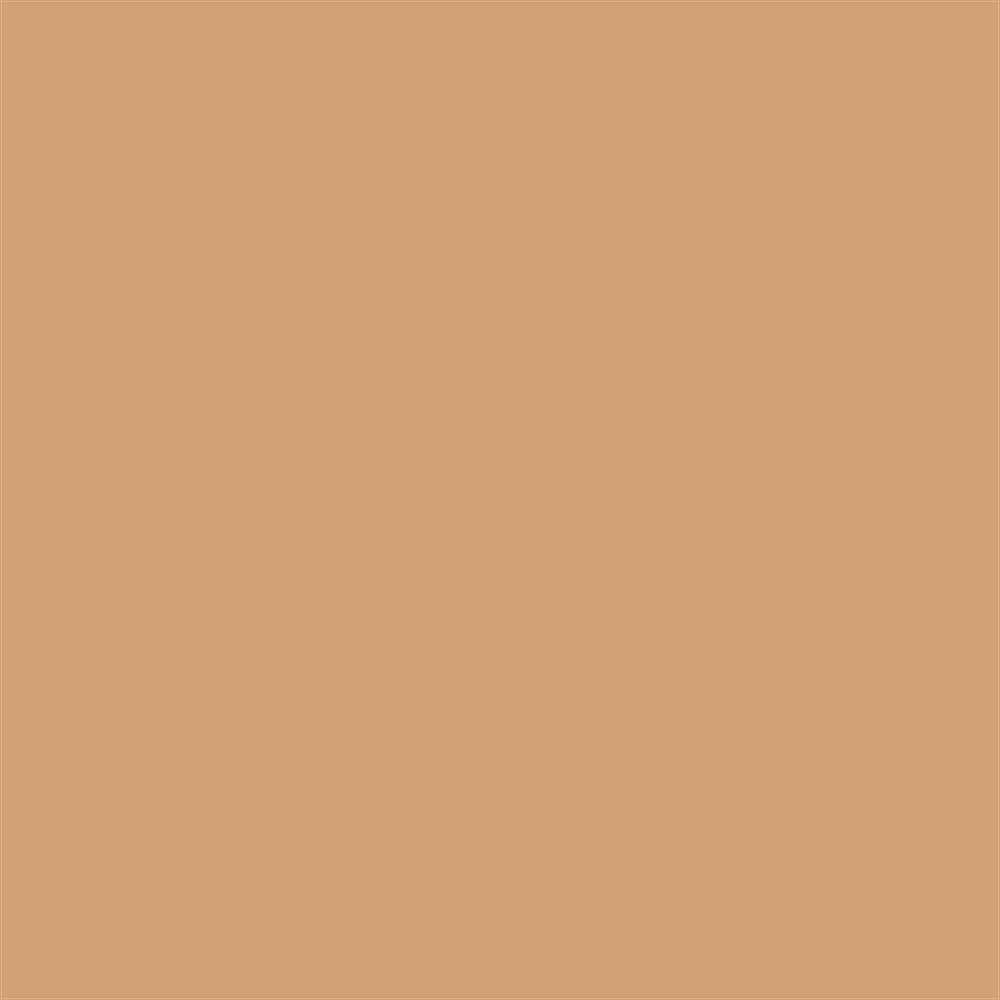 Winsor & Newton Promarker Grafik Kalemi 199 Cinnamon O427