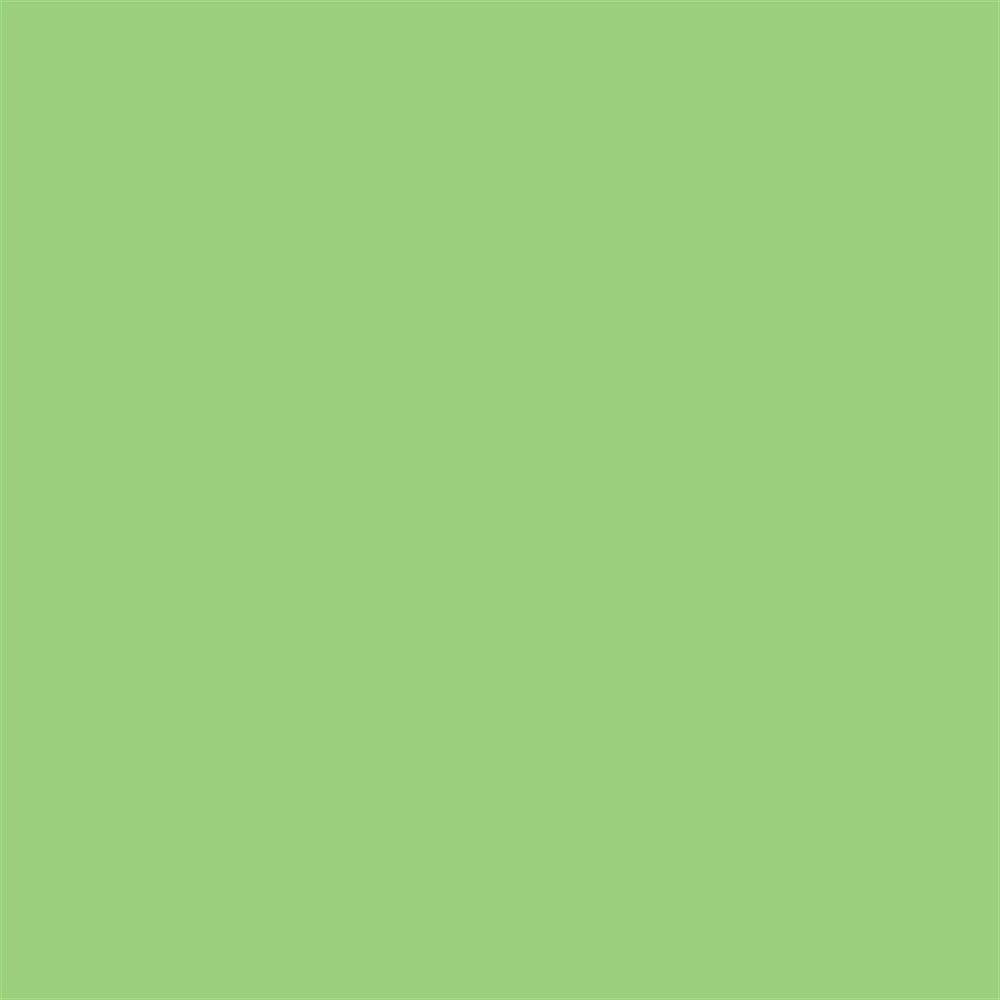 Winsor & Newton Promarker Graphics Pen 210 Apple G338