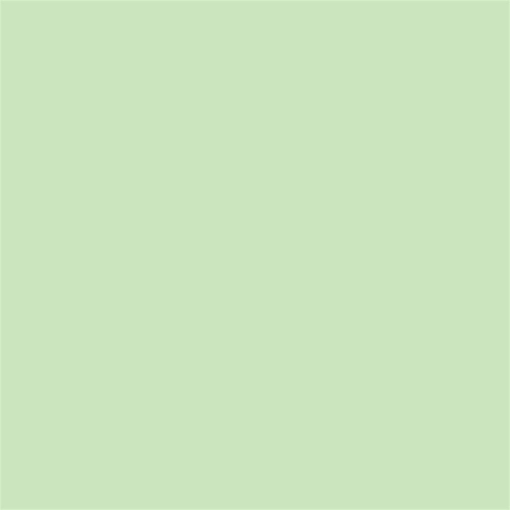 Winsor & Newton Promarker Grafik Kalemi 215 Meadow Green G339