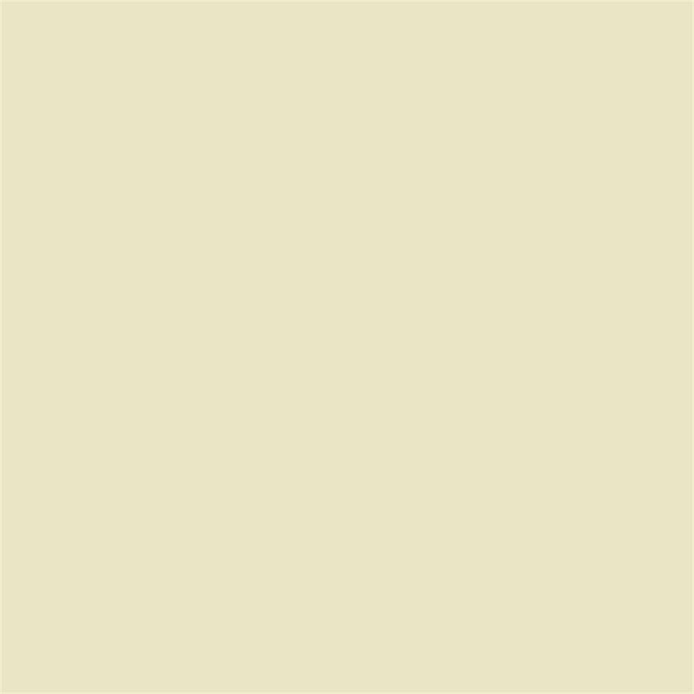 Winsor & Newton Promarker Grafik Kalemi 221 Pastel Beige Y717