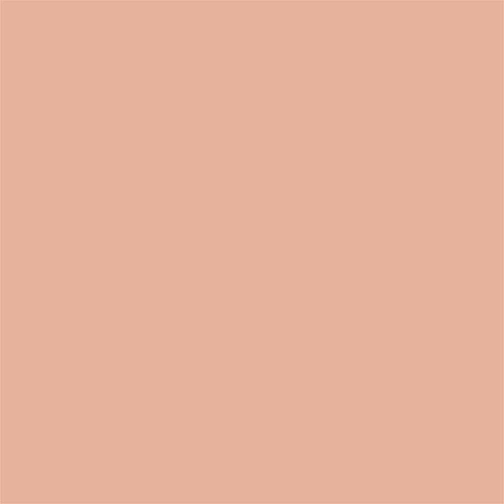 Winsor & Newton Promarker Grafik Kalemi 236 Tan O528