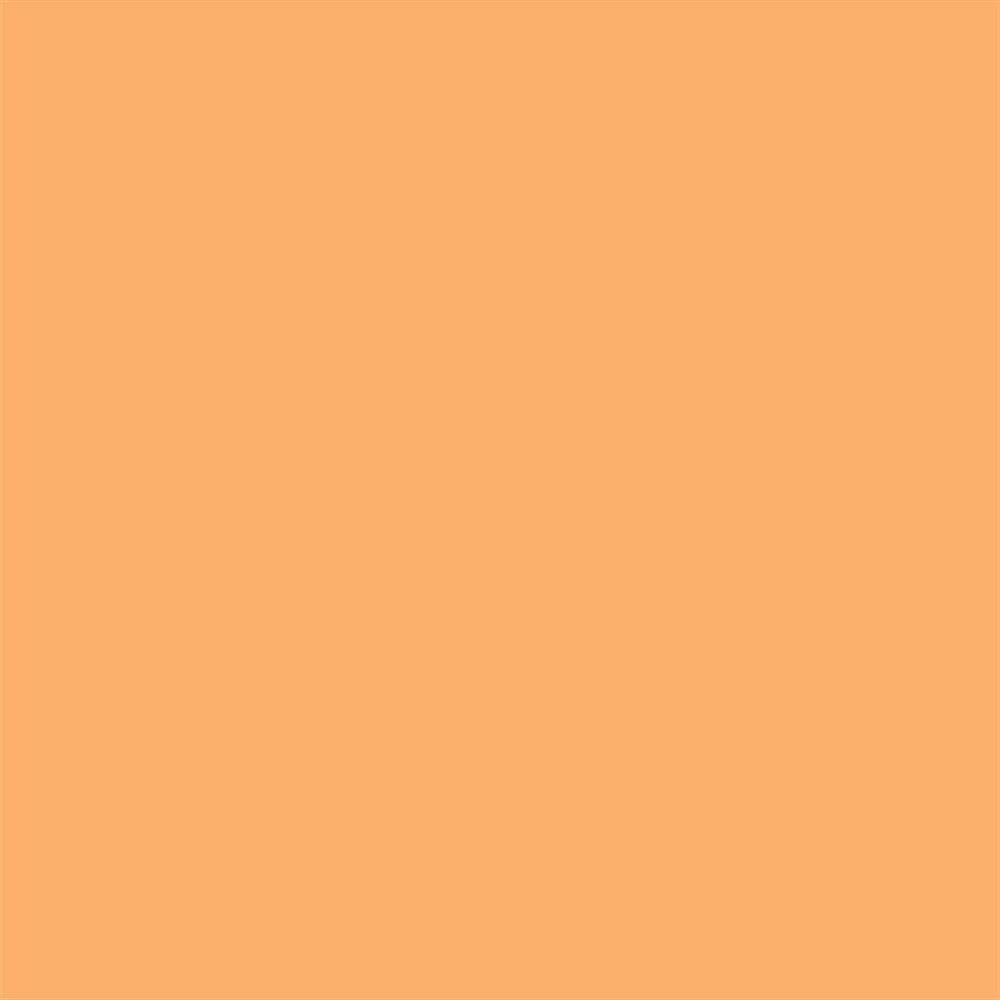 Winsor & Newton Promarker Graphic Pen 255 Apricot O538