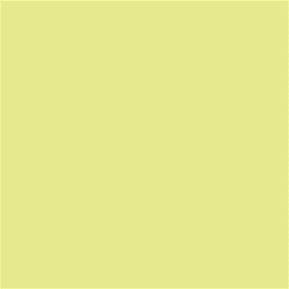 Winsor & Newton Promarker Grafik Kalemi 269 Lime Zest G159