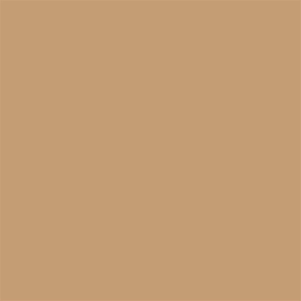 Winsor & Newton Promarker Grafik Kalemi 272 Caramel O727
