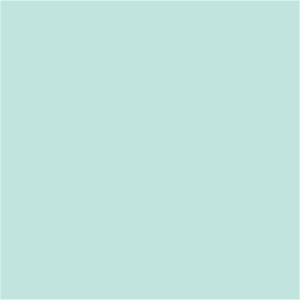 Winsor & Newton Promarker Grafik Kalemi 274 Pastel Green G829