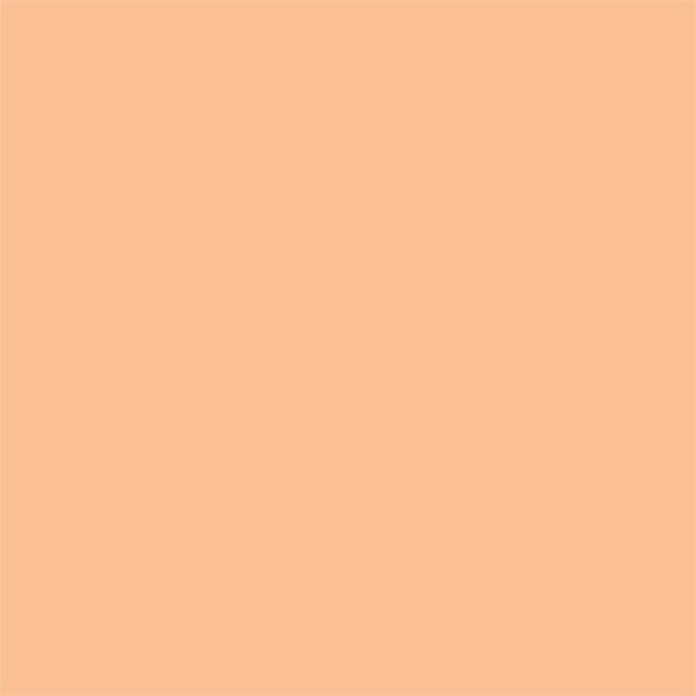 Winsor & Newton Promarker Grafik Kalemi 278 Oatmeal O628