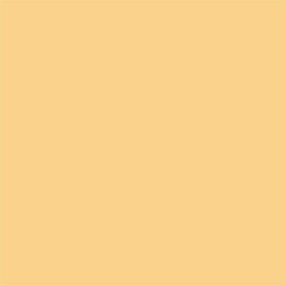 Winsor & Newton Promarker Grafik Kalemi 288 Pastel Yellow O949