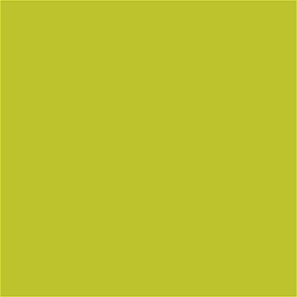 Winsor & Newton Promarker Grafik Kalemi 297 Pear Green Y635