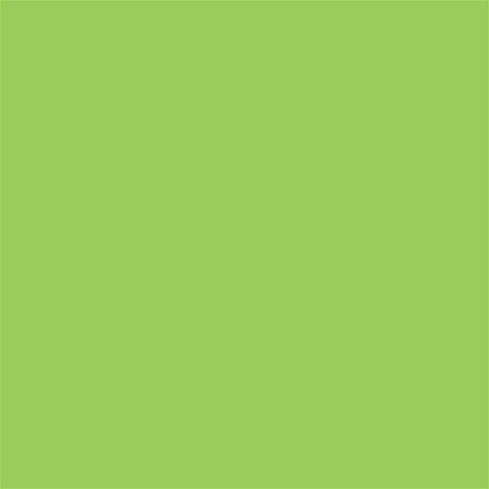 Winsor & Newton Promarker Grafik Kalemi 341 Leaf Green G258