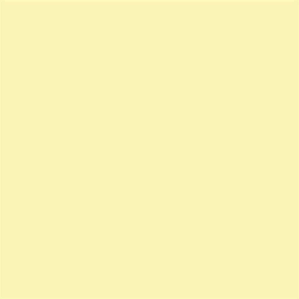 Winsor & Newton Promarker Grafik Kalemi 368 Soft Lime Y828